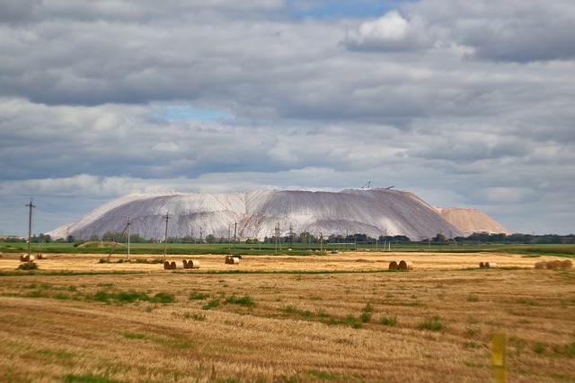 A field with rolls of hay.